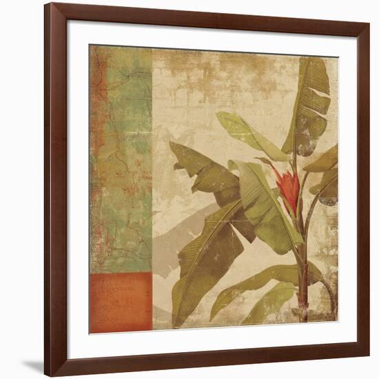 Planta-Andrew Michaels-Framed Art Print