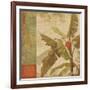 Planta-Andrew Michaels-Framed Art Print