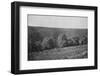 'Plantacao de Cafe formado', (Coffee Plantation), 1895-Axel Frick-Framed Photographic Print