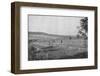 'Plantacao de Cafe novo', (New coffee plantation), 1895-Axel Frick-Framed Photographic Print