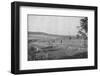 'Plantacao de Cafe novo', (New coffee plantation), 1895-Axel Frick-Framed Photographic Print