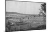 'Plantacao de Cafe novo', (New coffee plantation), 1895-Axel Frick-Mounted Photographic Print