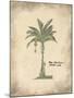 Plantain Palm-Hewitt-Mounted Giclee Print