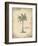 Plantain Palm-Annabel Hewitt-Framed Art Print