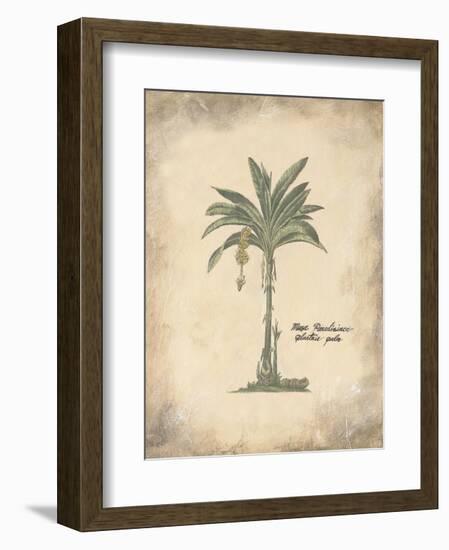 Plantain Palm-Annabel Hewitt-Framed Art Print
