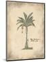 Plantain Palm-Annabel Hewitt-Mounted Art Print