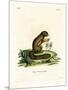 Plantain Squirrel-null-Mounted Giclee Print