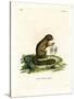 Plantain Squirrel-null-Stretched Canvas