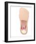 Plantar Fasciitis, Artwork-Peter Gardiner-Framed Photographic Print