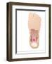 Plantar Fasciitis, Artwork-Peter Gardiner-Framed Photographic Print