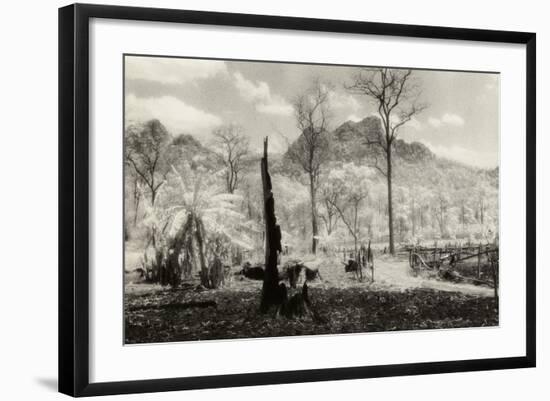 Plantation Clearing, Mae Hong Song, Thailand-Theo Westenberger-Framed Photographic Print