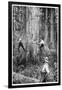 Plantation Forestry, 19th Century-Science Photo Library-Framed Photographic Print