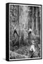 Plantation Forestry, 19th Century-Science Photo Library-Framed Stretched Canvas