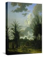 Plantation in Suriname, 1707-Dirk Valkenburg-Stretched Canvas