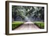 Plantation Road, Charleston, South Carolina-George Oze-Framed Photographic Print