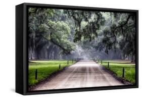 Plantation Road, Charleston, South Carolina-George Oze-Framed Stretched Canvas