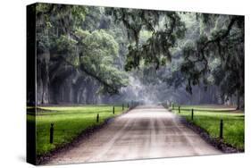 Plantation Road, Charleston, South Carolina-George Oze-Stretched Canvas