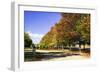 Plantation Road-Alan Hausenflock-Framed Photographic Print