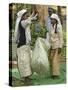 Plantation Tamil Women Weighing Prized Uva Tea in the Namunukula Mountains Near Ella, Central Highl-Rob Francis-Stretched Canvas