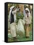 Plantation Tamil Women Weighing Prized Uva Tea in the Namunukula Mountains Near Ella, Central Highl-Rob Francis-Framed Stretched Canvas