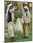 Plantation Tamil Women Weighing Prized Uva Tea in the Namunukula Mountains Near Ella, Central Highl-Rob Francis-Mounted Photographic Print