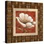 Plantation Themes B-Susan Davies-Stretched Canvas