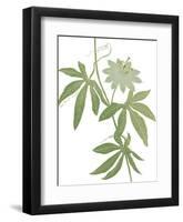 Planted Blooms-Maria Mendez-Framed Giclee Print