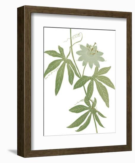 Planted Blooms-Maria Mendez-Framed Giclee Print