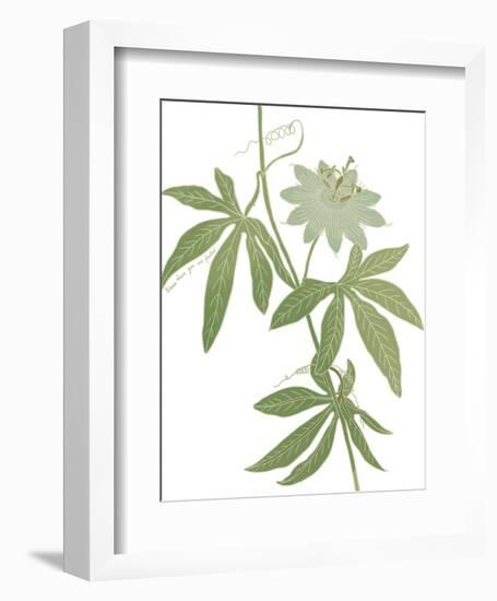 Planted Blooms-Maria Mendez-Framed Giclee Print