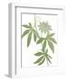 Planted Blooms-Maria Mendez-Framed Giclee Print