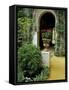 Planter and Arched Entrance to Garden in Casa de Pilatos Palace, Sevilla, Spain-Merrill Images-Framed Stretched Canvas