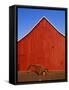 Planter in Front of Red Barn-Stuart Westmorland-Framed Stretched Canvas