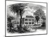 Planter's House on the Mississippi, Engraved by J.H. Ellawell-null-Mounted Giclee Print