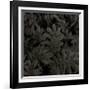 Plantes, c.2004-Jacky Lecouturier-Framed Premium Giclee Print