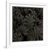 Plantes, c.2004-Jacky Lecouturier-Framed Premium Giclee Print