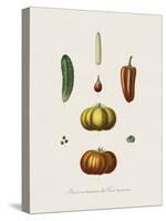 Plantes Condimentaires-The Vintage Collection-Stretched Canvas