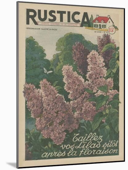 Plantez des Lilacs-null-Mounted Art Print