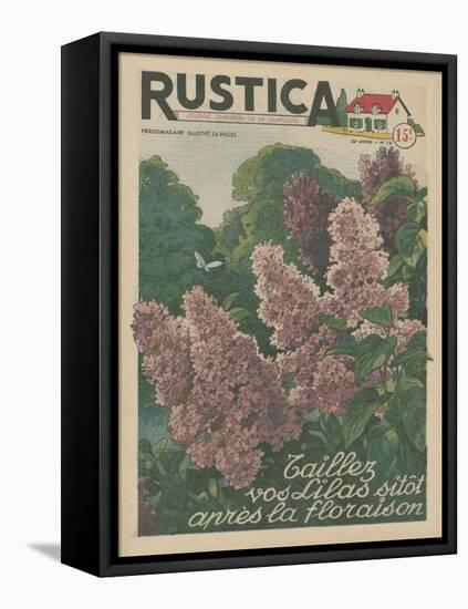 Plantez des Lilacs-null-Framed Stretched Canvas