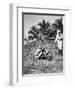 Planting Coconuts, Solomon Island, Fiji, 1905-null-Framed Giclee Print