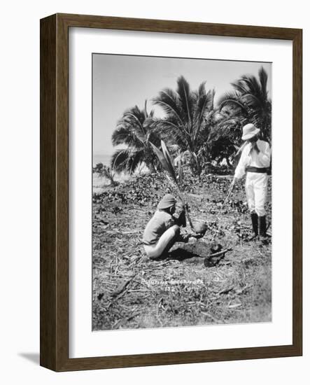 Planting Coconuts, Solomon Island, Fiji, 1905-null-Framed Giclee Print