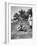 Planting Coconuts, Solomon Island, Fiji, 1905-null-Framed Giclee Print