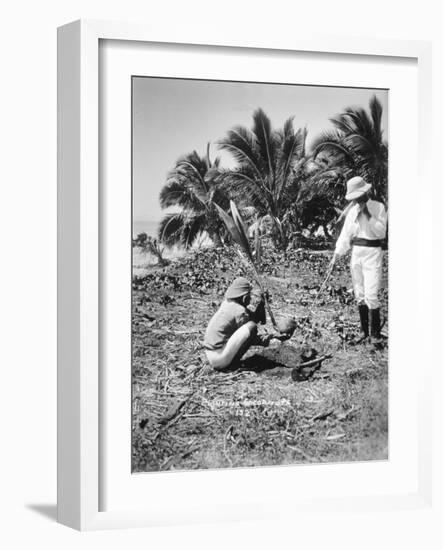 Planting Coconuts, Solomon Island, Fiji, 1905-null-Framed Giclee Print