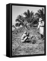 Planting Coconuts, Solomon Island, Fiji, 1905-null-Framed Stretched Canvas