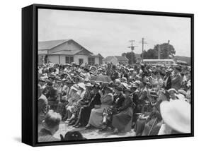 Planting of Nova Scotian Trees at Waipu, 1943-null-Framed Stretched Canvas