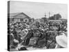 Planting of Nova Scotian Trees at Waipu, 1943-null-Stretched Canvas