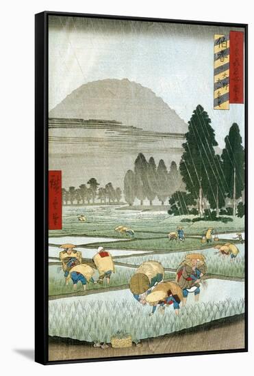 Planting of Rice During Summer Thunderstorm, 1857-Ando Hiroshige-Framed Stretched Canvas