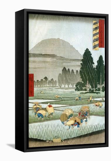 Planting of Rice During Summer Thunderstorm, 1857-Ando Hiroshige-Framed Stretched Canvas