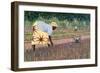 Planting Onions, 2005-Tilly Willis-Framed Giclee Print