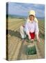 Planting Onions, Hokkaido, Japan-Gavin Hellier-Stretched Canvas