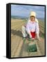 Planting Onions, Hokkaido, Japan-Gavin Hellier-Framed Stretched Canvas